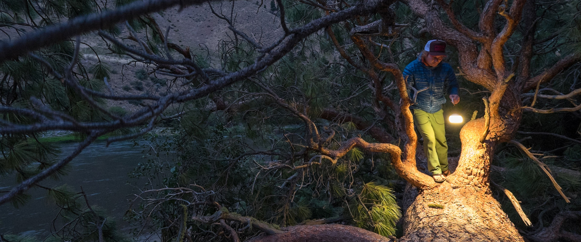 W2SW_slideshow_BradenG_bigtreedown